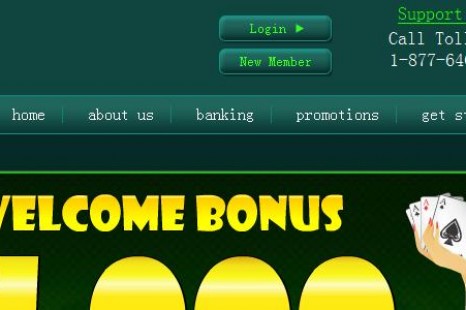 Бездепозитный бонус 10$ Loco Panda Casino (Казино закрыто)