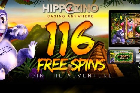 16 бесплатных вращений Hippozino Casino