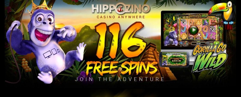 16 бесплатных вращений Hippozino Casino